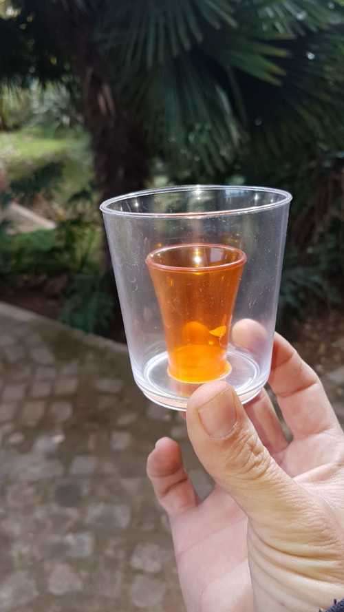 Shot Glasses Jager Bomb Shot Cups Pack of 4. Collections are allowed